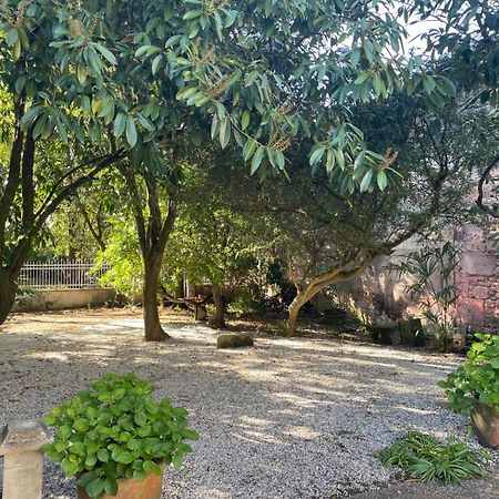 Annexe Du Pont De La Charente Lejlighed Châteauneuf-sur-Charente Eksteriør billede