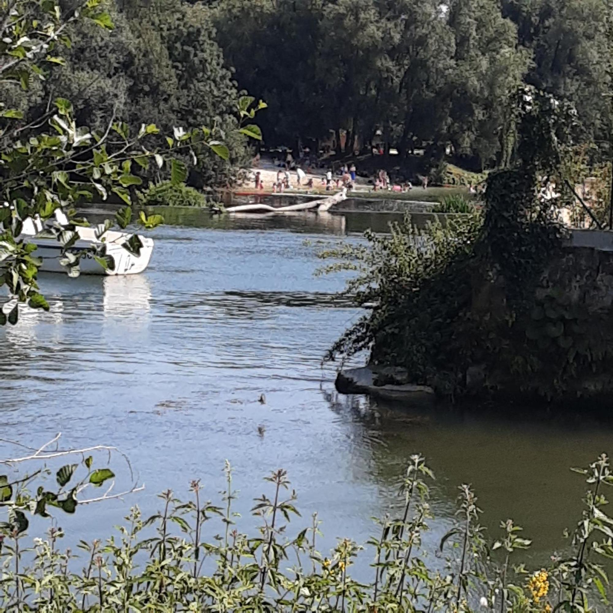 Annexe Du Pont De La Charente Lejlighed Châteauneuf-sur-Charente Eksteriør billede