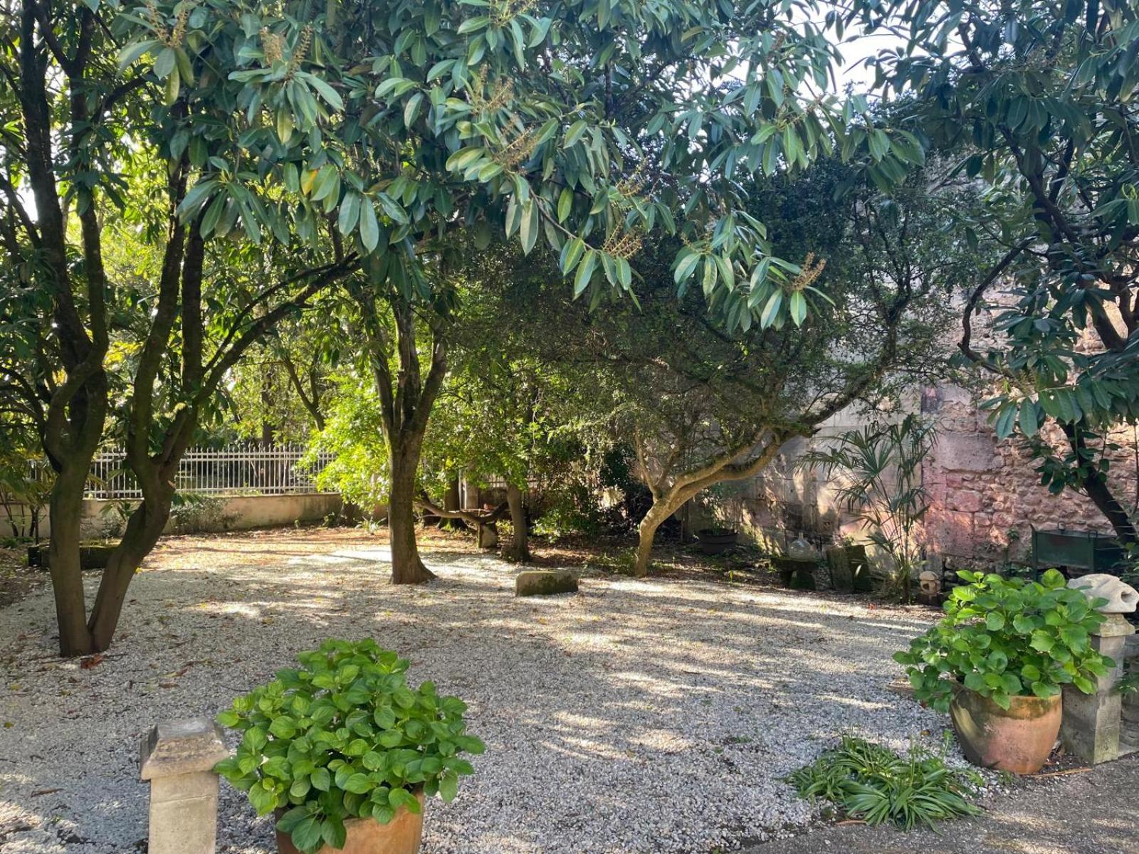 Annexe Du Pont De La Charente Lejlighed Châteauneuf-sur-Charente Eksteriør billede